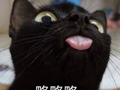 -MOJO密室逃脱(中街旗舰店)