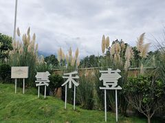-云禾壹海景庄园餐厅