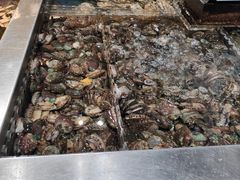 -盒马鲜生(红莲店)