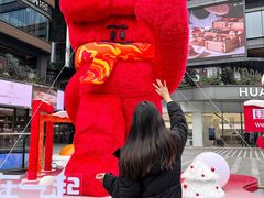 -合景·悠方(成都店)