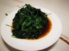 -海金滋(陕西南路店)