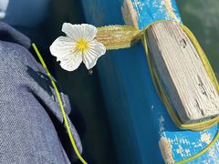 -丽江泸沽湖景区