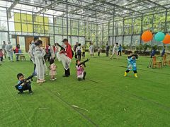 -前小桔亲子创意农场·草莓采摘·露营烧烤