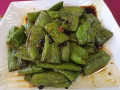 -麻奢鸽农庄·梦里水乡