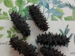 -宫品海参专卖店(黄浦老西门店)