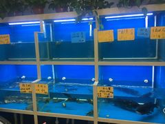 水产区-蒸八鲜农家土菜(祝桥店)