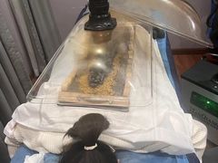 -深圳安仁堂中医·推拿按摩·肩颈调理