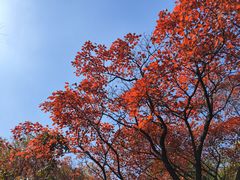 -博山九龙峪风景区