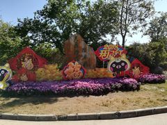 -天适樱花悠乐园