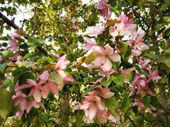 -元大都城垣遗址公园