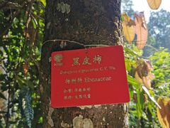 -中国科学院西双版纳热带植物园