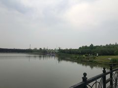-上海都市菜园