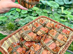 -七的湖·晚芳亭·阳澄湖农家菜·大闸蟹(莲花岛店)