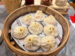 -莱莱小笼·乔艾