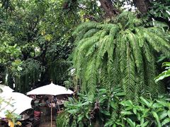 -Fern Forest Cafe