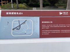 -深圳湾公园(南山区)
