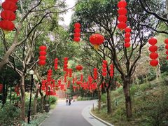 -云溪植物园