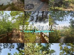 -西尖山公园