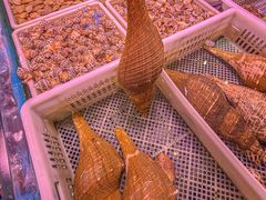 -金成潮菜博物馆(海珠湿地店)