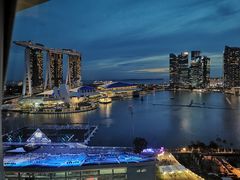 -新加坡文华东方酒店