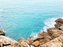 -广东惠东海龟国家级自然保护区