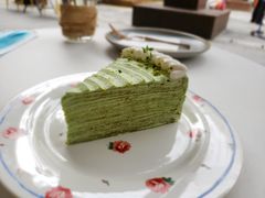 开心果千层-叶太YETAI(良库店)
