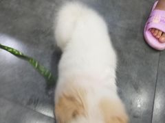 -家的味道餐厅·新鲜实惠