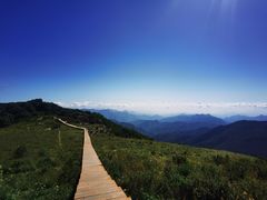 -白草畔自然风景区