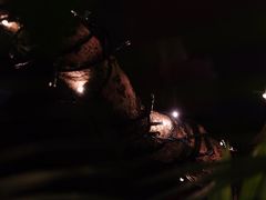 -绿地·中山里