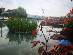 -晓琦农家菜馆·地道农家菜