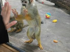 -西安秦岭野生动物园