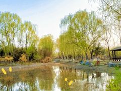 -南海子公园