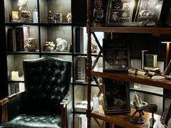 -雪灵魔法世界SHELLY’S TAROT(大良桂畔里店)