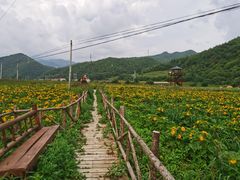 -青峰峡国家森林公园
