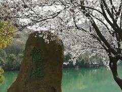 -白马涧龙池景区