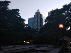 -九龙公园