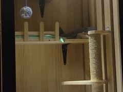 -美联众合动物医院·24h京西诊疗中心