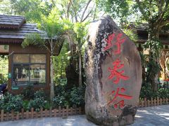 -野象谷景区