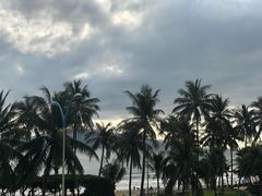 -芽庄洲际酒店自助餐厅