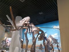 -国家自然博物馆