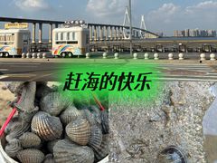 -中澳友谊花园
