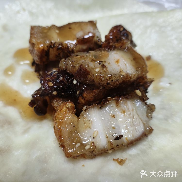 烤的嘎嘣脆炸的脆皮烤肉