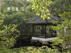 -上海醉白池公园
