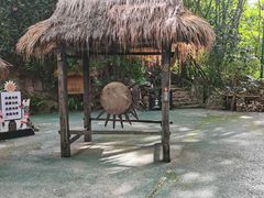 -西双版纳基诺山寨