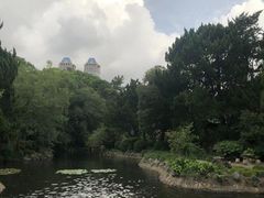 -叶家花园