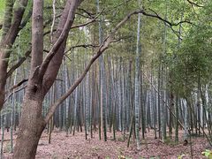 -同里国家湿地公园