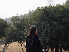 -滆湖低碳生态公园