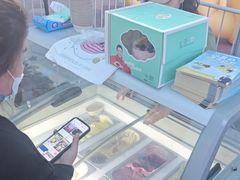 -维尔纳斯·生日蛋糕动物奶油冰淇淋蛋糕(人大店)