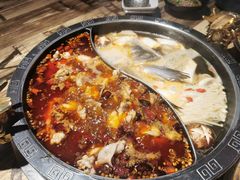 -销魂美蛙鱼头火锅(上海首店)