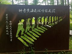 -黄海国家森林公园